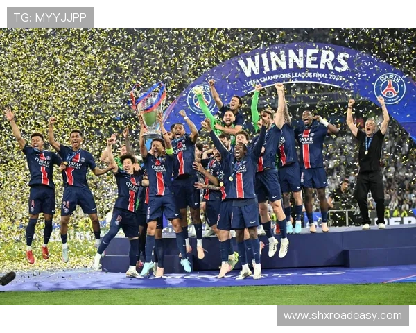 2020年法国足球明星的辉煌成就与未来展望分析